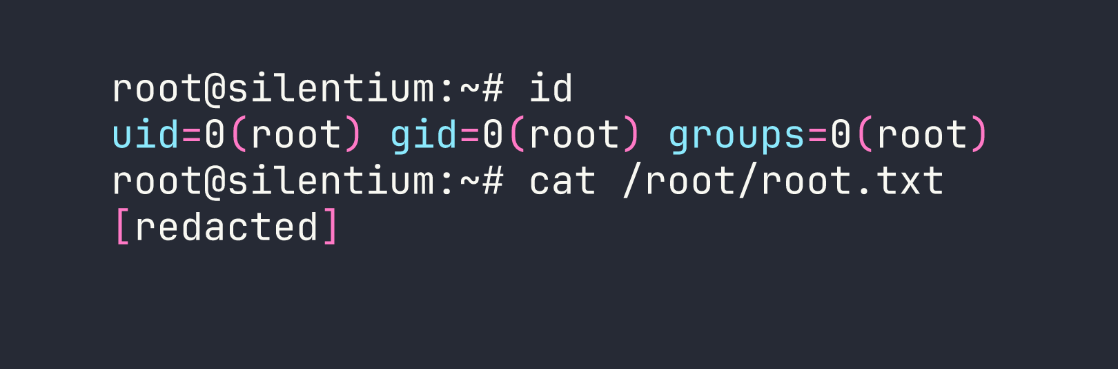terminal output