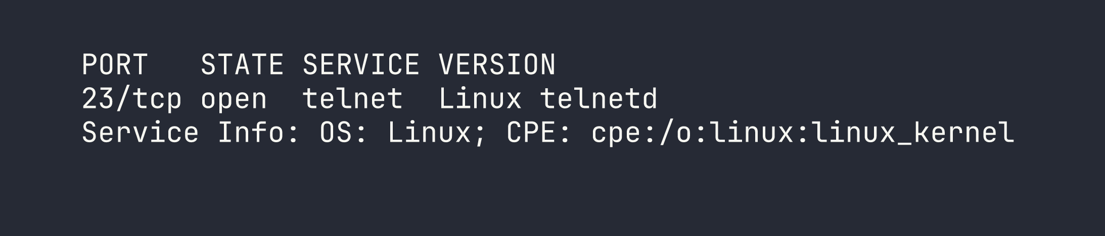 terminal output